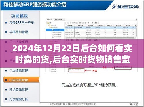 后臺實時貨物銷售監控體系詳解，以2024年12月22日為例的銷售數據評測與實時貨物銷售監控解析