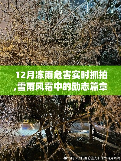 雪雨風霜中的勵志篇章，凍雨危害下的學習與自信成長之路