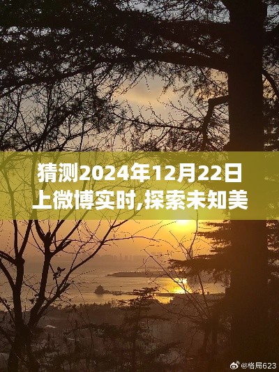 探索未知美景，尋找內心寧靜，2024年微博實時自然之旅猜想揭秘