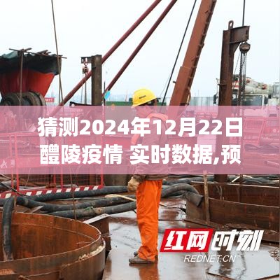 2024年12月22日醴陵疫情展望，實時數據預測與深度洞察