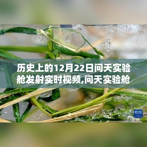 回顧歷史上的輝煌時刻，問天實驗艙發射回顧與實時視頻記錄