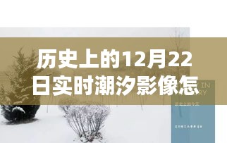 揭秘歷史潮汐影像，解析12月22日實時潮汐影像，特性、體驗、競品對比與用戶洞察