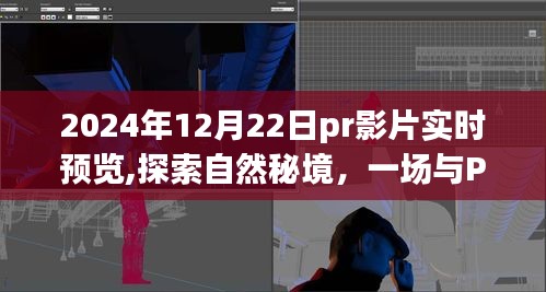 探索自然秘境，一場與PR影片的奇妙之旅啟程于2024年12月22日實時預覽