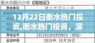 衡水熱門投資深度測評與介紹，最新動態及介紹