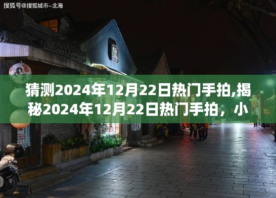 揭秘，2024年12月22日熱門手拍探秘，小巷特色小店之旅