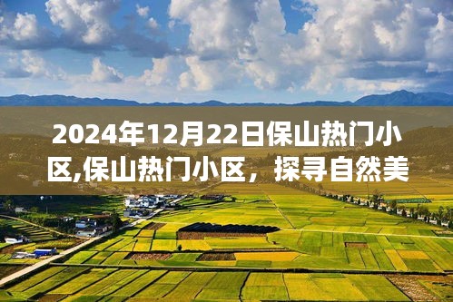 探尋保山熱門小區的自然美景之旅，心靈寧靜的港灣（2024年12月22日）