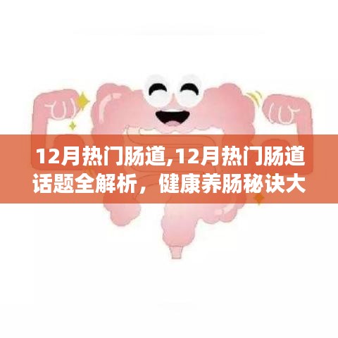 揭秘十二月腸道健康熱點話題，腸道養生秘訣大解析