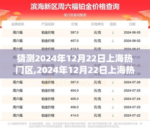 深度剖析，展望2024年12月22日上海熱門區域背景、事件與地位