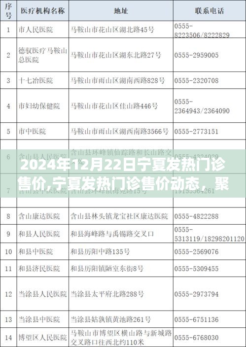 寧夏發熱門診售價動態，未來一年的價格趨勢解讀與預測