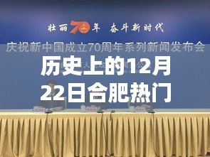 歷史上的12月22日合肥熱門咨詢深度解析，特性、體驗、競品對比與用戶洞察