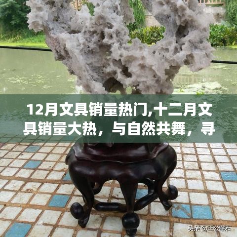 十二月文具銷量飆升，與自然共舞的心靈之旅