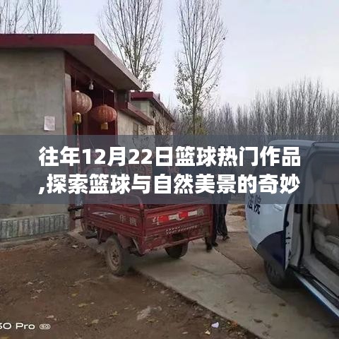 籃球與自然美景的奇妙之旅，鼓舞人心的冬日征途探索回顧