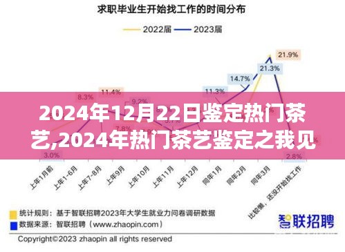 2024年熱門茶藝鑒定深度解析，我的見解與體驗