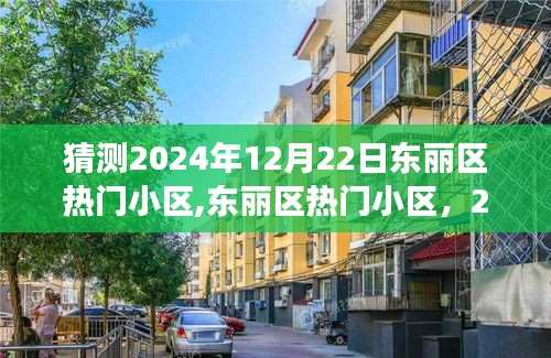 東麗區(qū)熱門小區(qū)展望與回顧，預(yù)測(cè)2024年12月22日的趨勢(shì)與變化