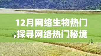 探尋網絡熱門秘境，與自然美景的浪漫邂逅在十二月網絡生物圈盛行