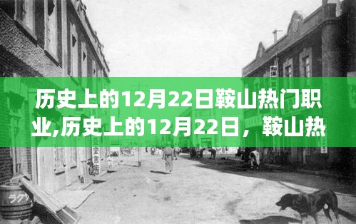 歷史上的12月22日鞍山職業風采，熱血之路與自信鑄就輝煌之路