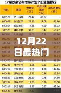 12月22日最熱門三大城市排名及深度測評介紹