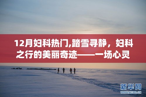 十二月婦科之旅，踏雪尋靜，心靈與自然共舞的美麗奇跡