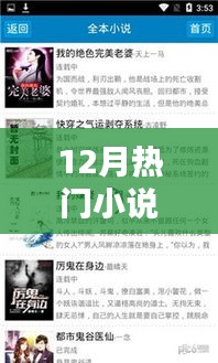 12月熱門小說全面評測與介紹，一網(wǎng)打盡！