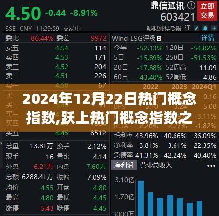 躍上熱門概念之巔，自信閃耀的學習旅程，2024年12月22日熱門概念指數解析