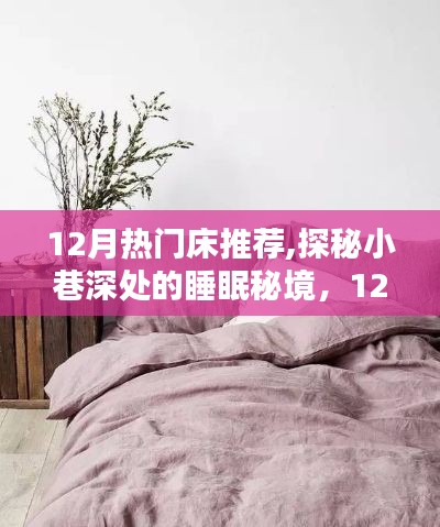 探秘小巷深處的睡眠秘境，揭秘十二月熱門床品推薦與秘密大解密