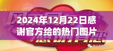 感恩饋贈，熱門圖片背后的故事與特殊的光輝時刻（2024年12月22日）