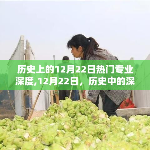 揭秘歷史上的熱門專業深度，笑聲背后的歷史深度解讀日（12月22日）