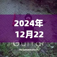 2025年1月 第580頁