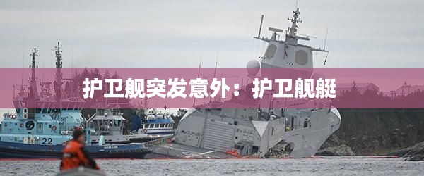 護衛艦突發意外：護衛艦艇 