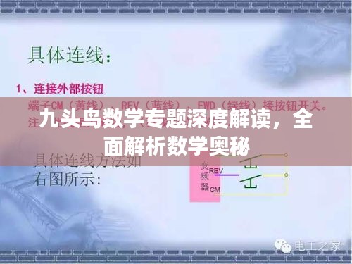 九頭鳥數學專題深度解讀，全面解析數學奧秘