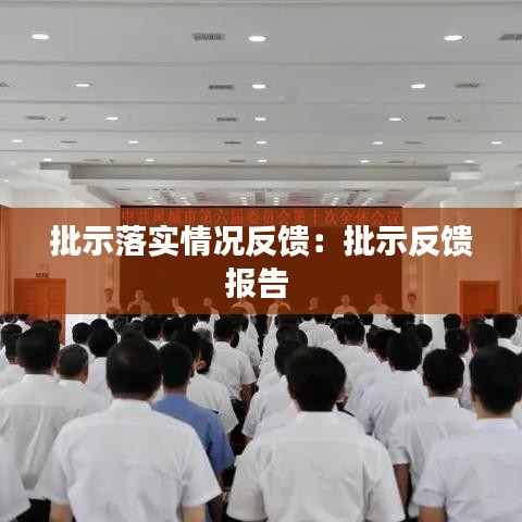 批示落實情況反饋：批示反饋報告 