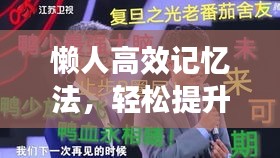 懶人高效記憶法，輕松提升記憶力的秘訣攻略