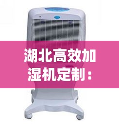 湖北高效加濕機(jī)定制：加濕機(jī)使用視頻 