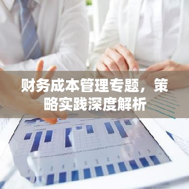 財務成本管理專題，策略實踐深度解析