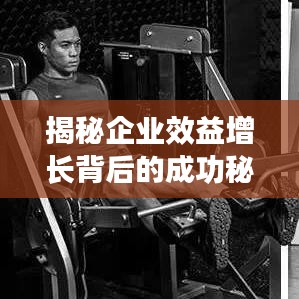 揭秘企業(yè)效益增長背后的成功秘訣，企業(yè)成功之路圖解析