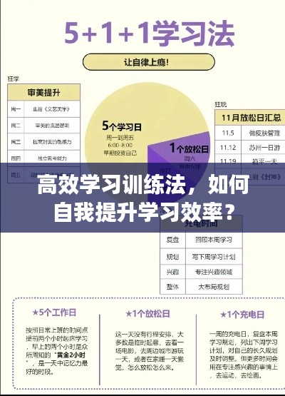 高效學習訓練法，如何自我提升學習效率？