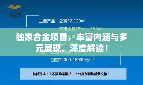 獨家合金項目，豐富內涵與多元展現，深度解讀！