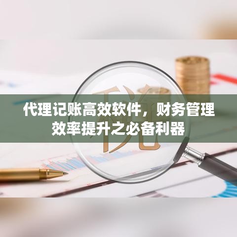 代理記賬高效軟件，財務管理效率提升之必備利器