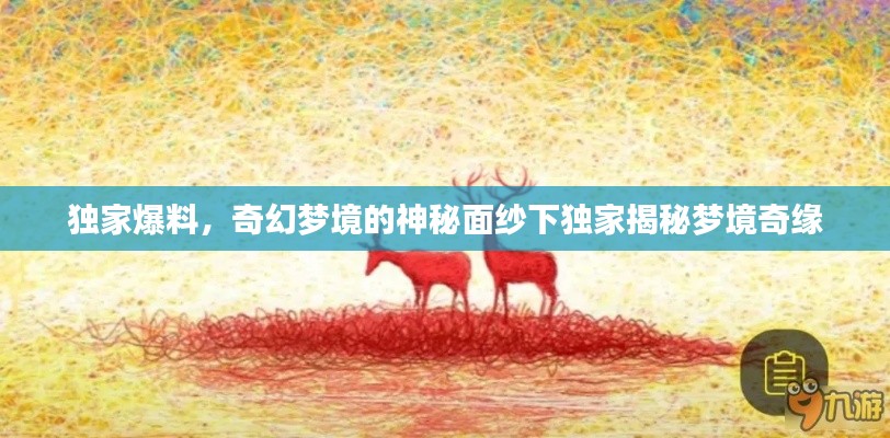 獨(dú)家爆料，奇幻夢(mèng)境的神秘面紗下獨(dú)家揭秘夢(mèng)境奇緣