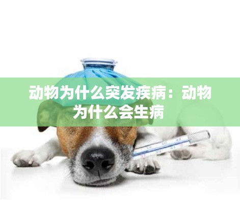 動物為什么突發疾病：動物為什么會生病 