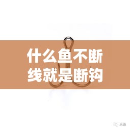 什么魚不斷線就是斷鉤了：什么魚線魚咬不斷 