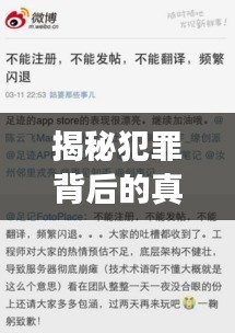 揭秘犯罪背后的真相，抓碼王獨家爆料