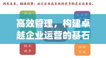 高效管理，構建卓越企業運營的基石之道