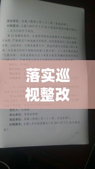 落實巡視整改的內容：落實巡視整改意見 