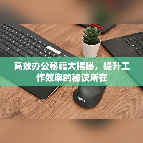 高效辦公秘籍大揭秘，提升工作效率的秘訣所在