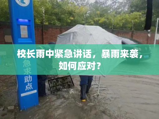 校長(zhǎng)雨中緊急講話，暴雨來(lái)襲，如何應(yīng)對(duì)？