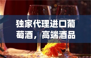 獨(dú)家代理進(jìn)口葡萄酒，高端酒品市場(chǎng)探索之旅