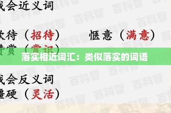 落實相近詞匯：類似落實的詞語 