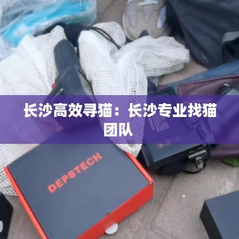 長沙高效尋貓：長沙專業找貓團隊 