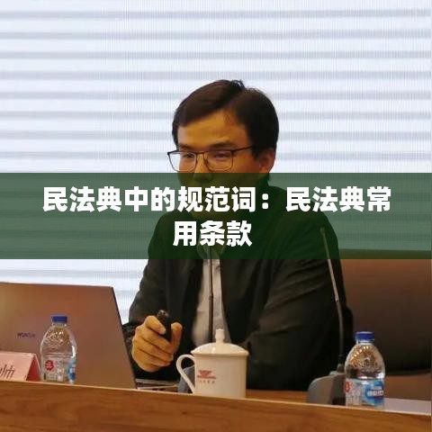 民法典中的規(guī)范詞：民法典常用條款 